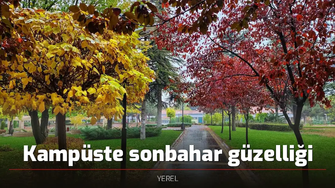 Kampüste sonbahar güzelliği