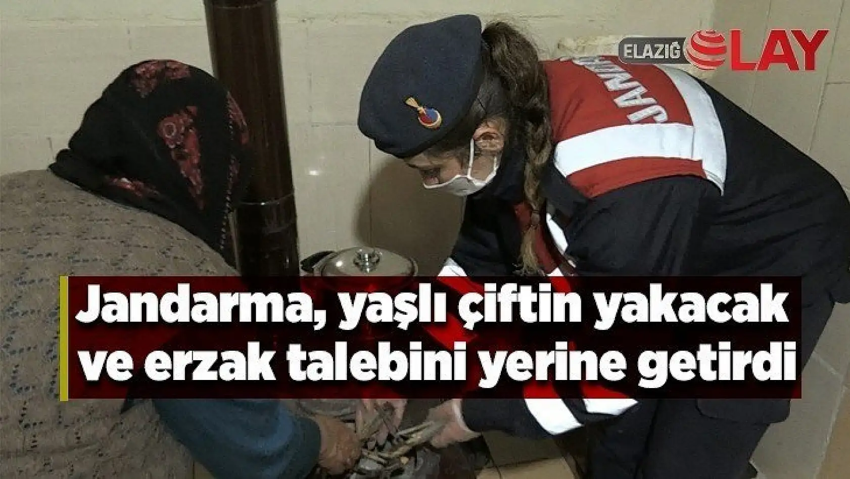 Jandarma, yaşlı çiftin yakacak ve erzak talebini yerine getirdi