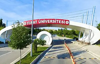 Böcek atıklarından doğal antibakteriyel madde üretildi