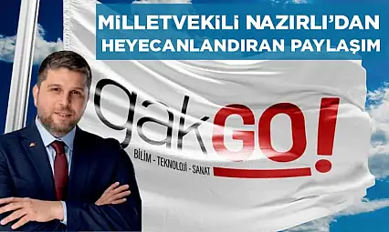 Mahmut Rıdvan Nazırlı'nın Gakgo paylaşımı