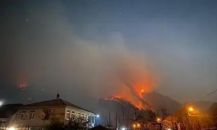 Rusya'da yeni yıl kutlamalarında atılan havai fişekler orman yangınına neden oldu