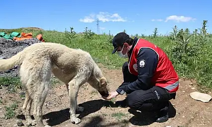 Vefa ekibi, can dostları unutmadı