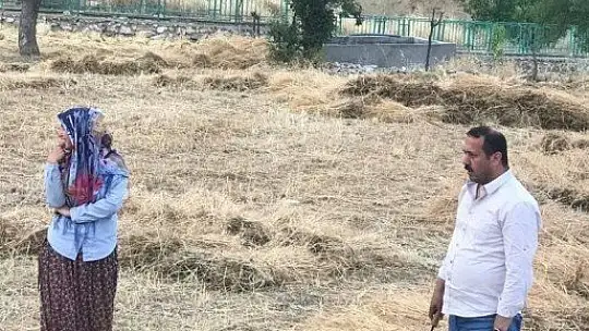 Orakla Ekin Biçme Geleneği Devam ediyor