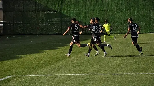 Elazığspor: 3 - Kastamonuspor: 2
