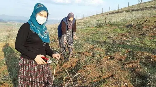 Elinin hamuruyla erkek işine karışmayın demişlerdi