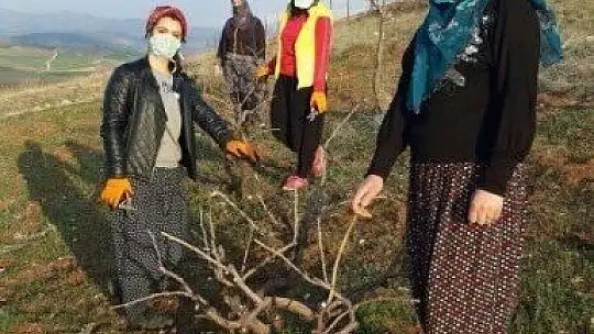 Elinin hamuruyla erkek işine karışmayın demişlerdi