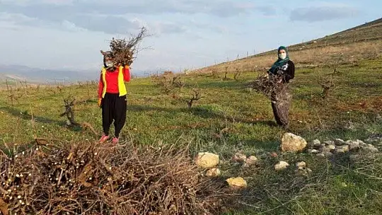 Elinin hamuruyla erkek işine karışmayın demişlerdi
