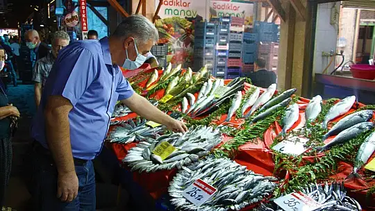 Av sezonu açıldı, yarımada konumundaki Elazığ'da balıklar tezgahlardaki yerini aldı