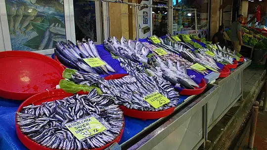 Av sezonu açıldı, yarımada konumundaki Elazığ'da balıklar tezgahlardaki yerini aldı