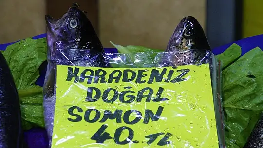 Av sezonu açıldı, yarımada konumundaki Elazığ'da balıklar tezgahlardaki yerini aldı