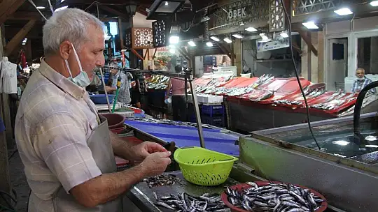 Av sezonu açıldı, yarımada konumundaki Elazığ'da balıklar tezgahlardaki yerini aldı