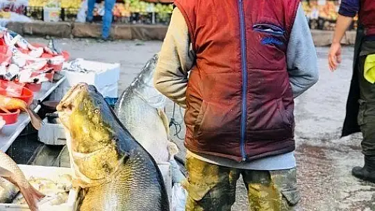 Biri 85, diğeri 55 Kilo