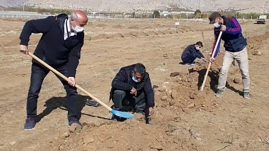Baskil MYO kampüsüne 2 bin 160 fidan dikildi