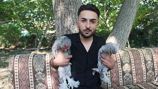 Bütün zamanını Osmanlı saray sultan tavuklarına adadı, 20'ye yakın renk oluşturdu