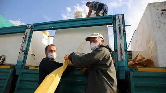 Keban Barajı'na 970 bin adet balık yavrusu bırakıldı