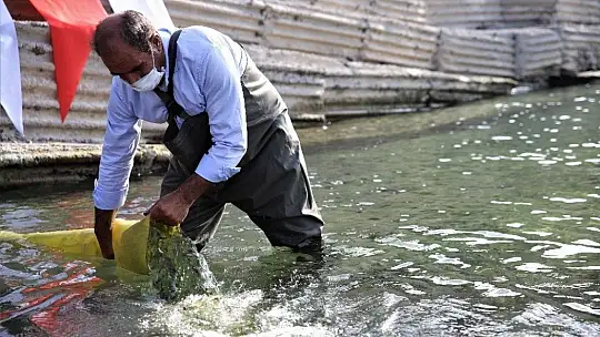 Keban Barajı'na 970 bin adet balık yavrusu bırakıldı