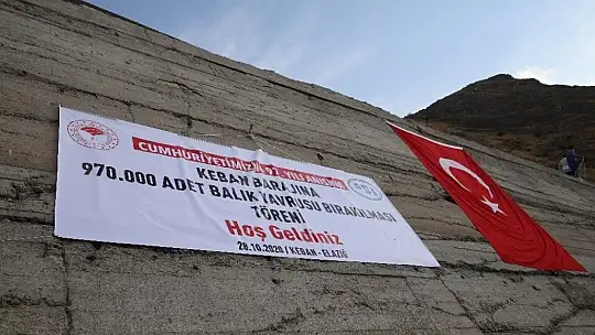 Keban Barajı'na 970 bin adet balık yavrusu bırakıldı