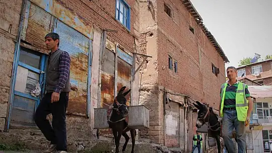 Dar sokaklardaki çöpler 'Kadrolu eşeklere' emanet
