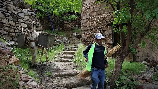 Dar sokaklardaki çöpler 'Kadrolu eşeklere' emanet