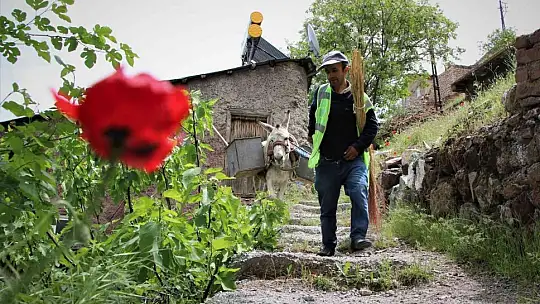 Dar sokaklardaki çöpler 'Kadrolu eşeklere' emanet