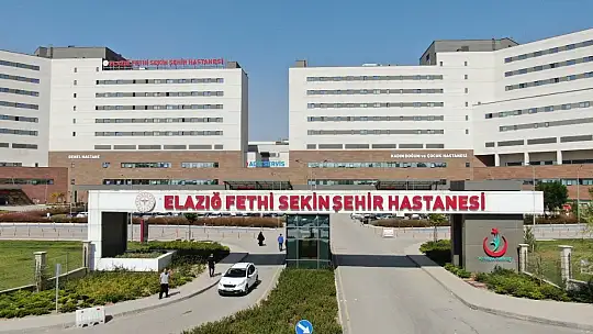 Dini nikahlı eşini vurup olay yerinden kaçtı