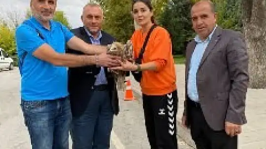 Doğa yürüyüşü sırasında bitkin düşen akbaba buldular