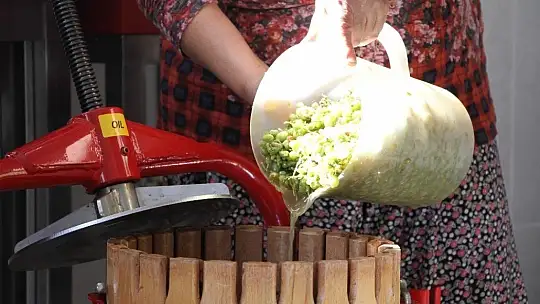 Doğal antioksidan 'Koruk Suyu'