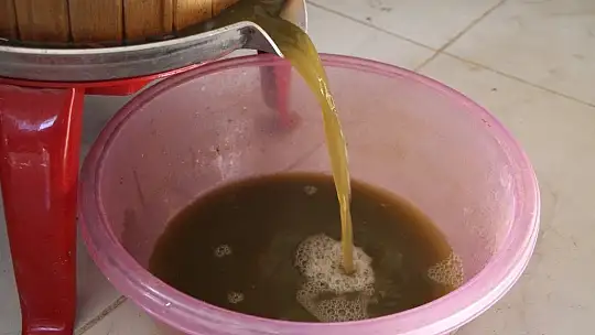 Doğal antioksidan 'Koruk Suyu'