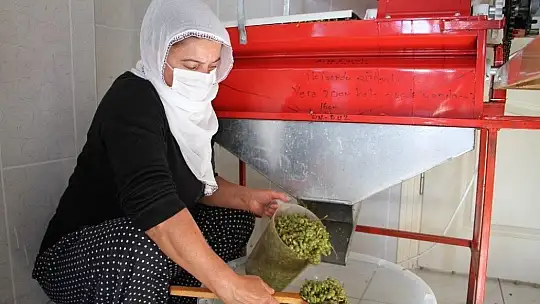 Doğal antioksidan 'Koruk Suyu'