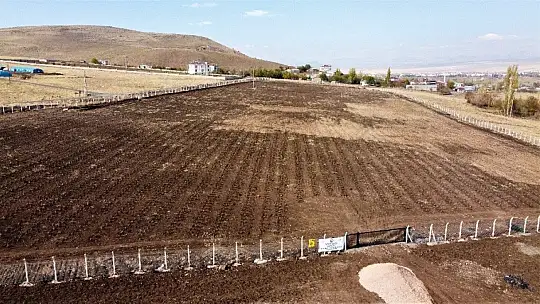 Doğu Anadolu Bölgesi'nin en büyük lavanta bahçesi Elazığ'da kuruldu