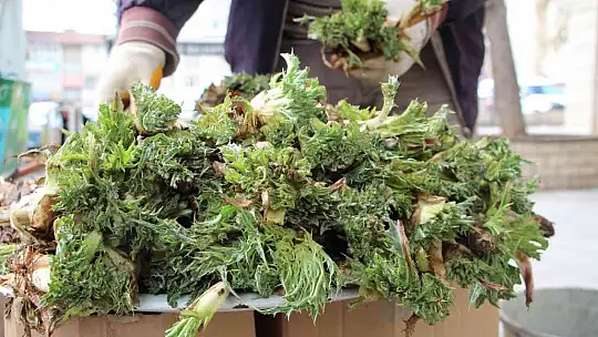 Elazığ'da 'Çiriş' ve 'Kenger' otu, tezgahlardaki yerini aldı
