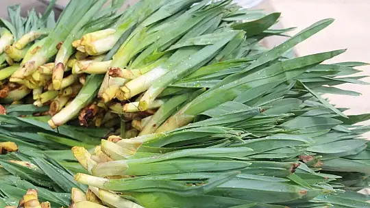 Elazığ'da 'Çiriş' ve 'Kenger' otu, tezgahlardaki yerini aldı