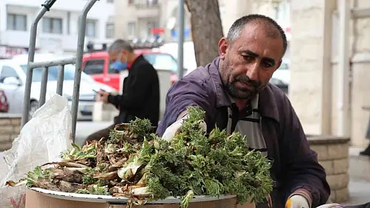 Elazığ'da 'Çiriş' ve 'Kenger' otu, tezgahlardaki yerini aldı
