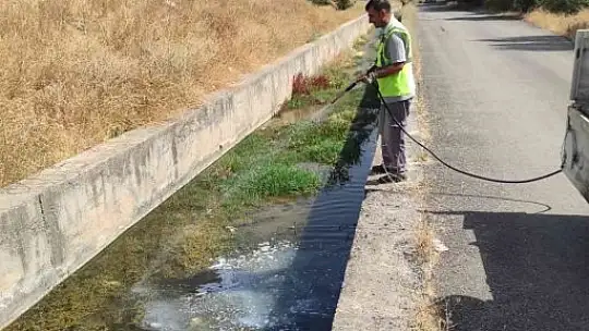 Elazığ'da ilaçlama çalışmaları sürüyor