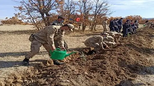 Elazığ'da jandarma ekipleri bir günde 8 bin 300 fidan dikti