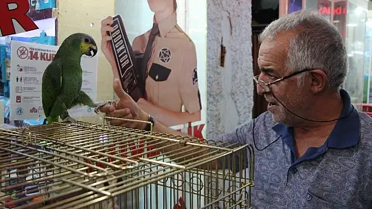 Elazığ'da 20 kelime söyleyen papağan ilgi görüyor