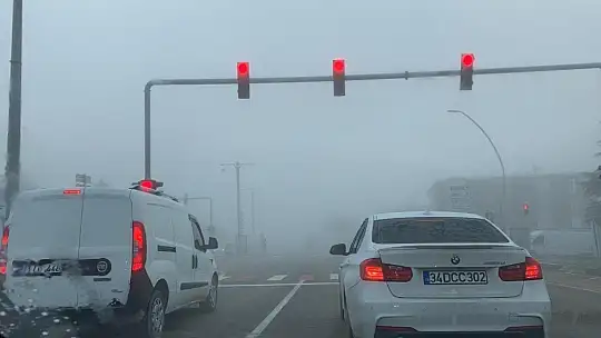 Elazığ'da ağaçlar kırağı tuttu, süs havuzları dondu