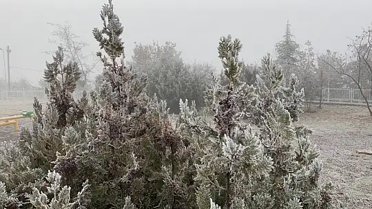 Elazığ'da ağaçlar kırağı tuttu, süs havuzları dondu