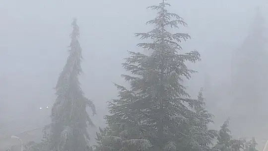 Elazığ'da ağaçlar kırağı tuttu, süs havuzları dondu