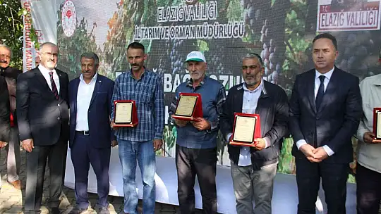Elazığ'da bağ bozumu etkinliği