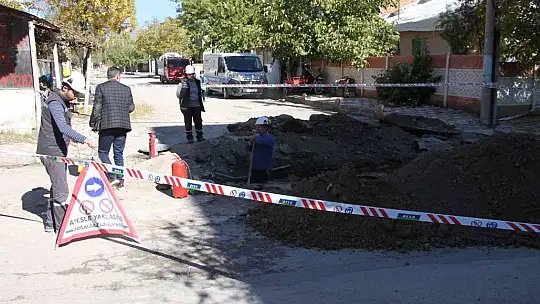 Elazığ'da bir mahalle diken üstünde