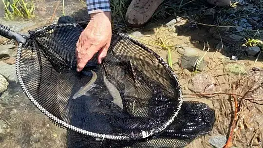 Elazığ'da biyoçeşitlilik izleme çalışmaları sürüyor