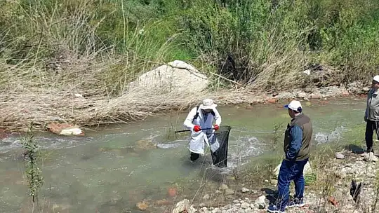 Elazığ'da biyoçeşitlilik izleme çalışmaları sürüyor