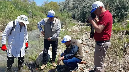 Elazığ'da biyoçeşitlilik izleme çalışmaları sürüyor