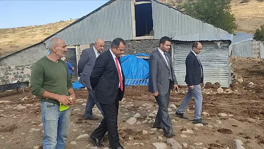 Elazığ'da büyükbaş hayvanlara aşılama çalışması