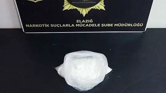 Elazığ'da dedektör köpeği 'Alex' uyuşturucu tacirlerine geçit vermedi: 2 gözaltı