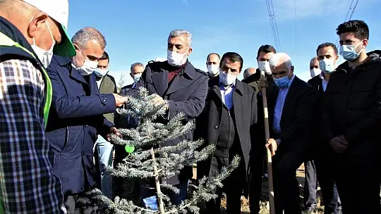 Elazığ'da eğitimciler fidan dikti