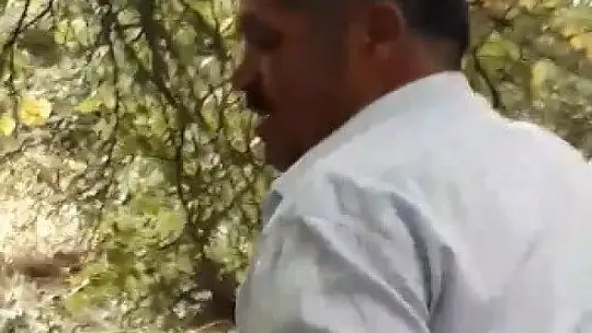 Elazığ'da gülümseten ceviz silkeleme anlatımı