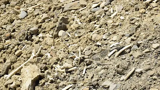 Elazığ'da içme suyu yolu mezarlık içinden geçince, kemikler etrafa saçıldı
