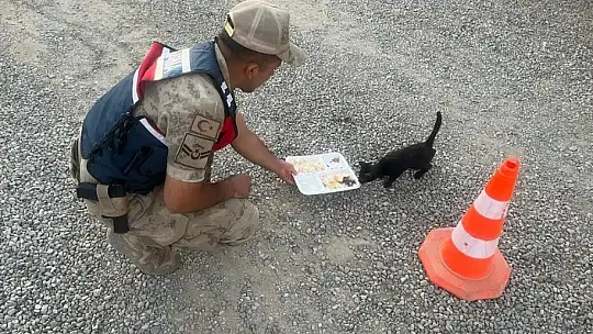 Elazığ'da jandarmadan 4 Ekim Dünya Hayvanları Koruma Günü etkinliği